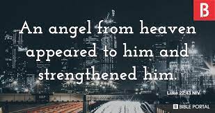 Today’s Community Scripture – 12/20/2022