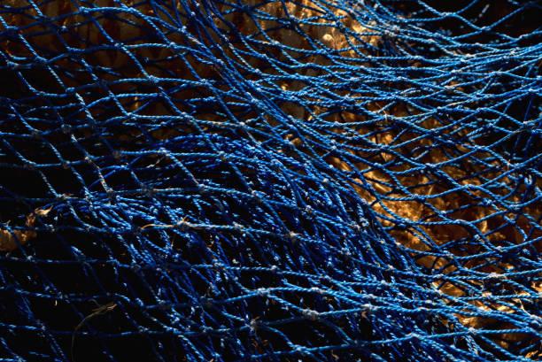 Today’s Community Scripture – 6/14/2023