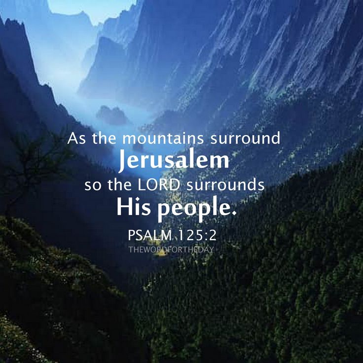 Today’s Community Scripture – 8/11/2023