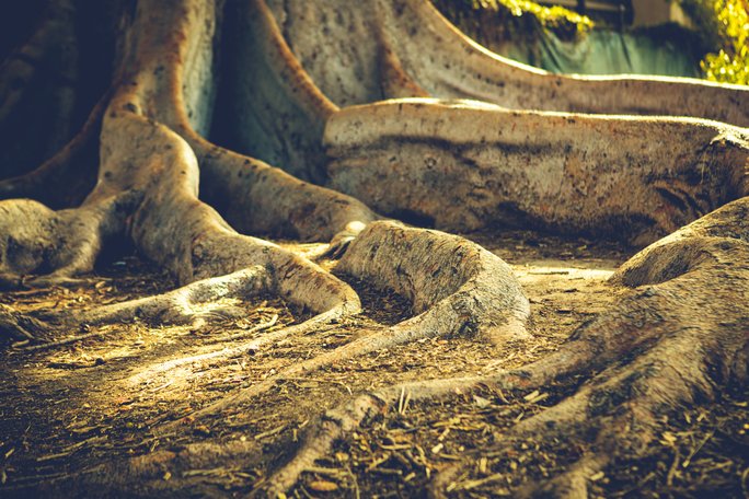 Today’s Community Scripture – 9/1/2023