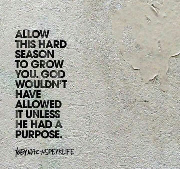 Today’s Community Scripture – 10/23/2023