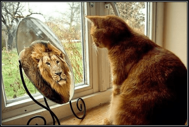 Today’s Community Scripture – 12/4/2023