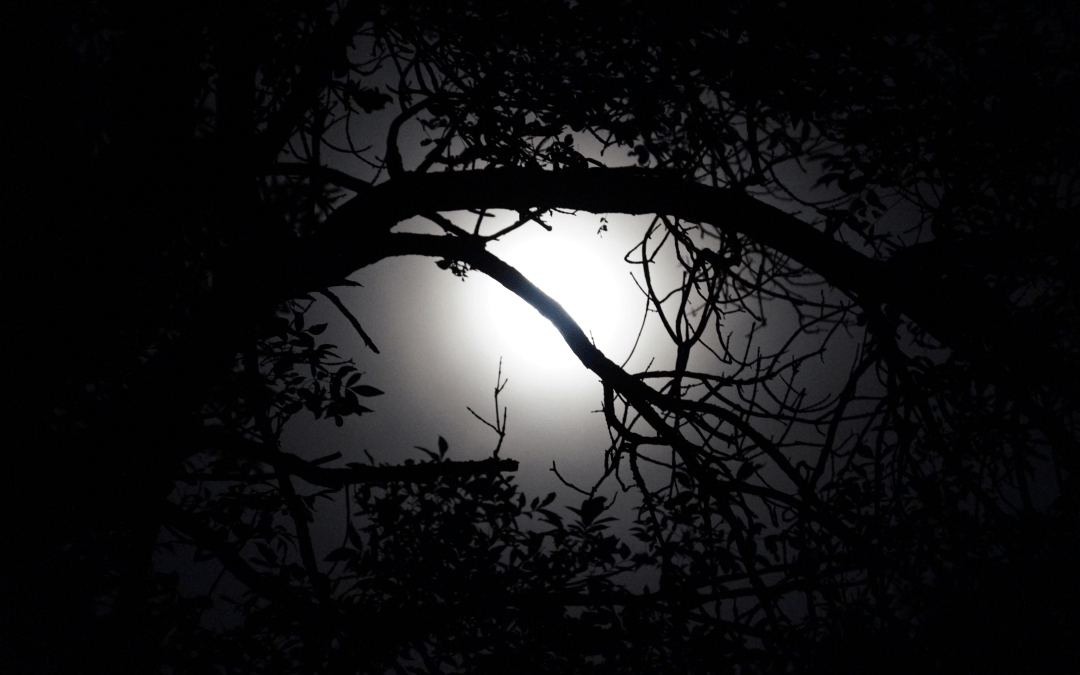 Today’s Community Scripture – 1/30/2024