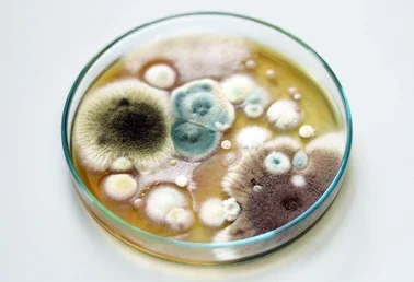 Today’s Community Scripture – 4/24/2024