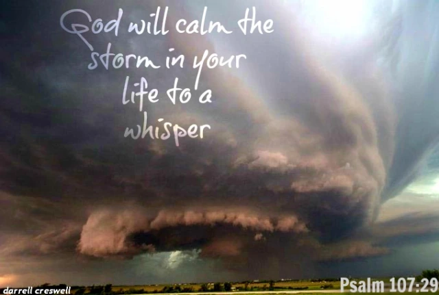 Today’s Community Scripture – 6/11/2024